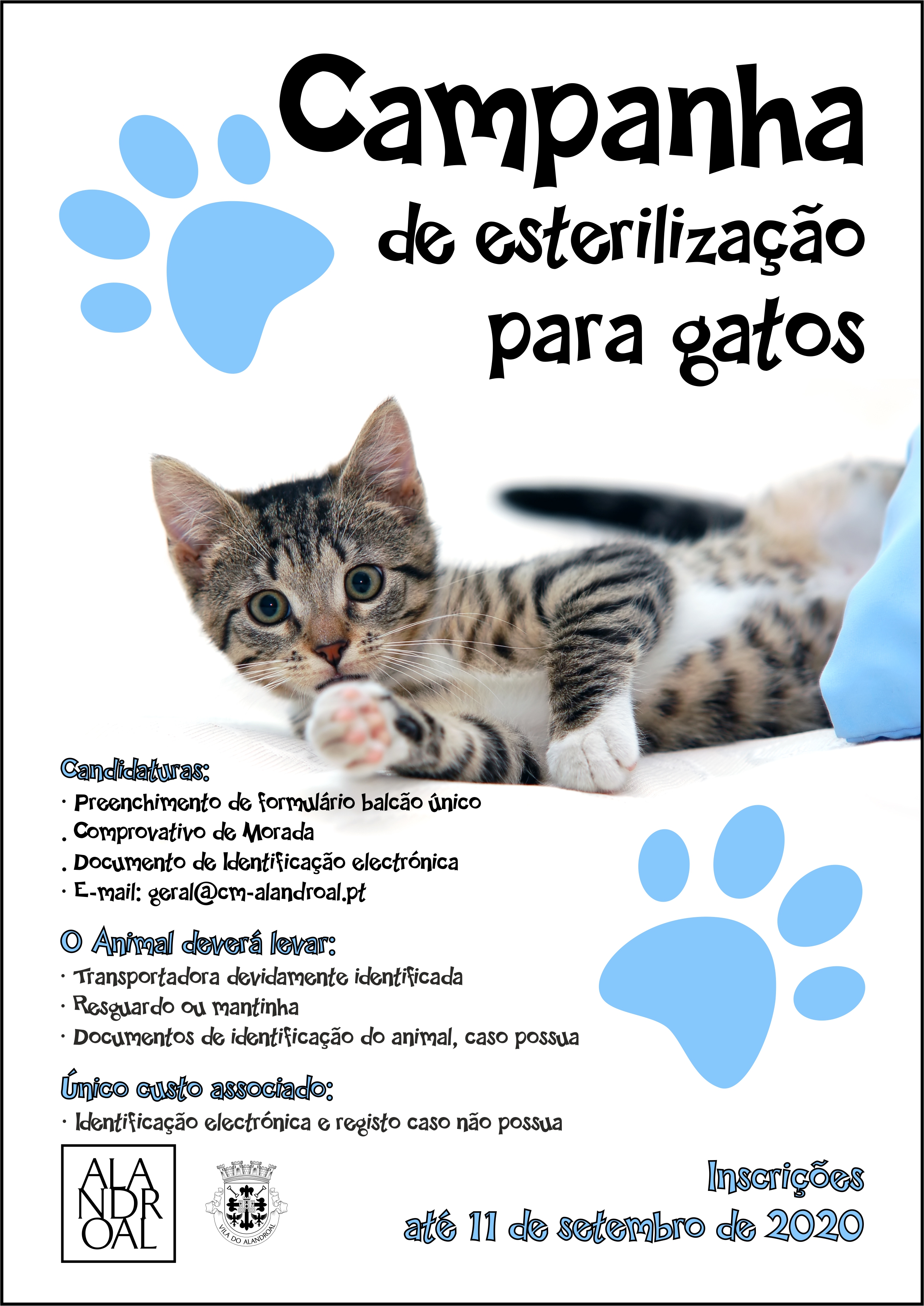 Campanha.Esterilização.Gatos.2.jpg